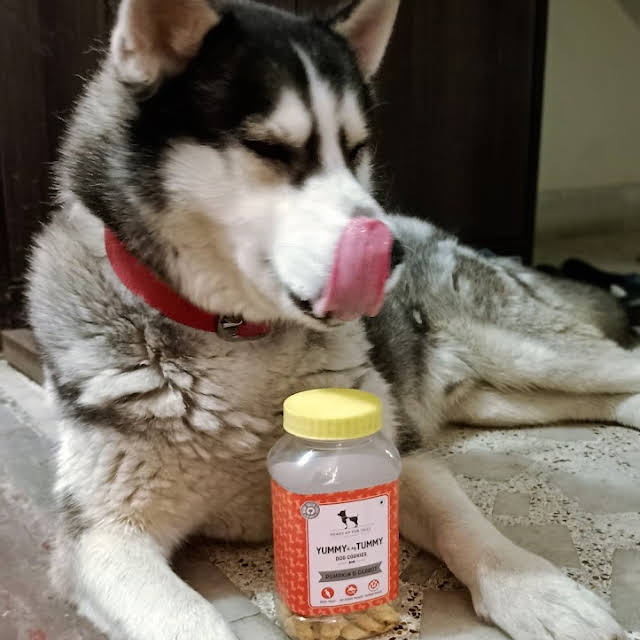 Husky Diet Chart