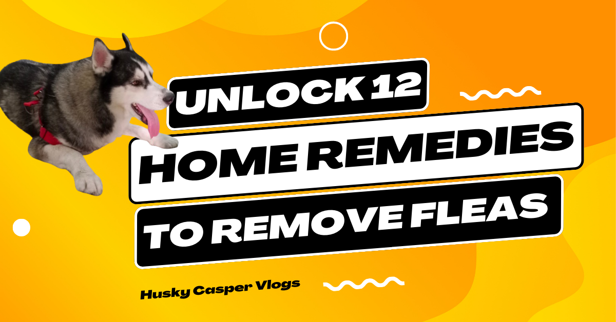 Home Remedies To Remove Fleas