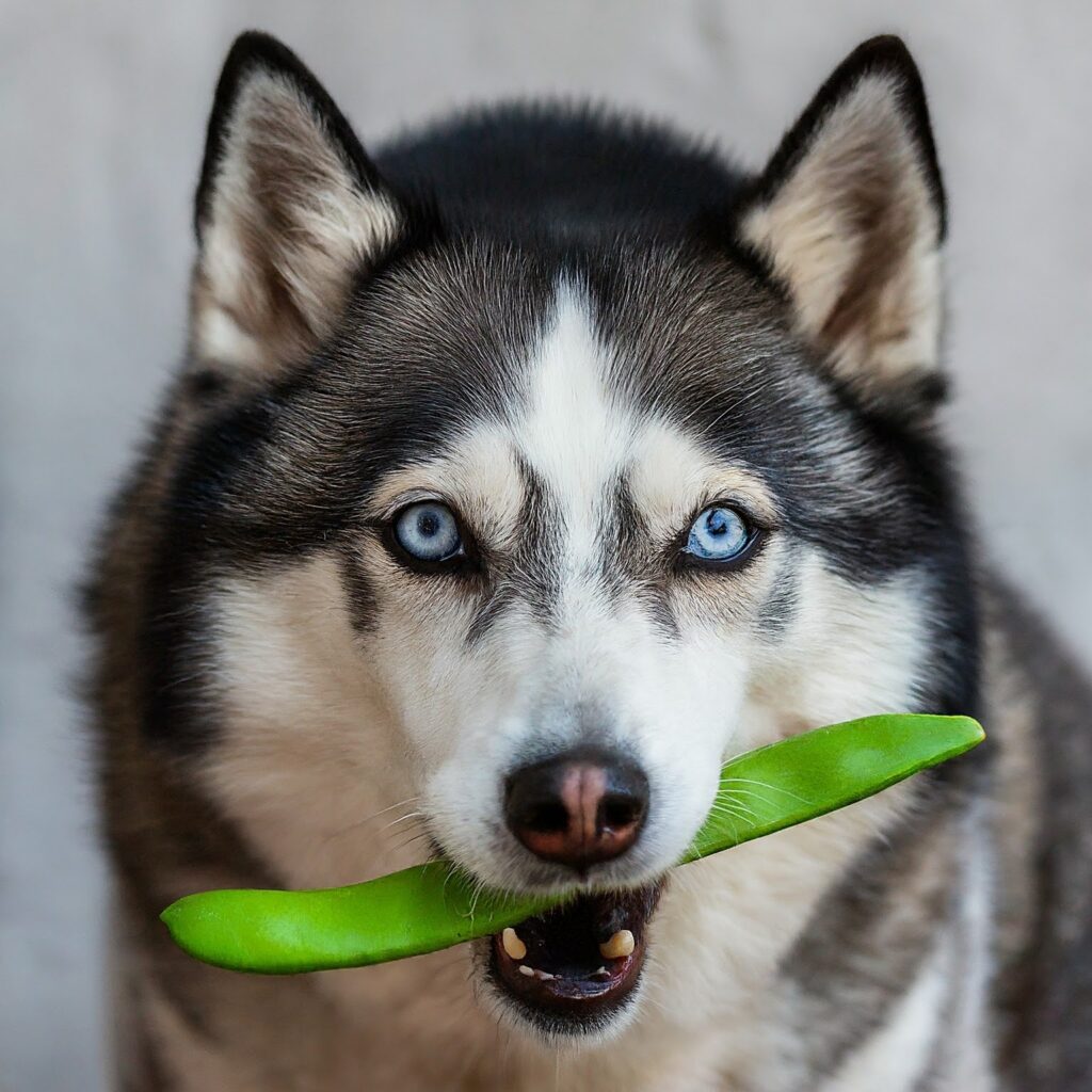 Green Beans
